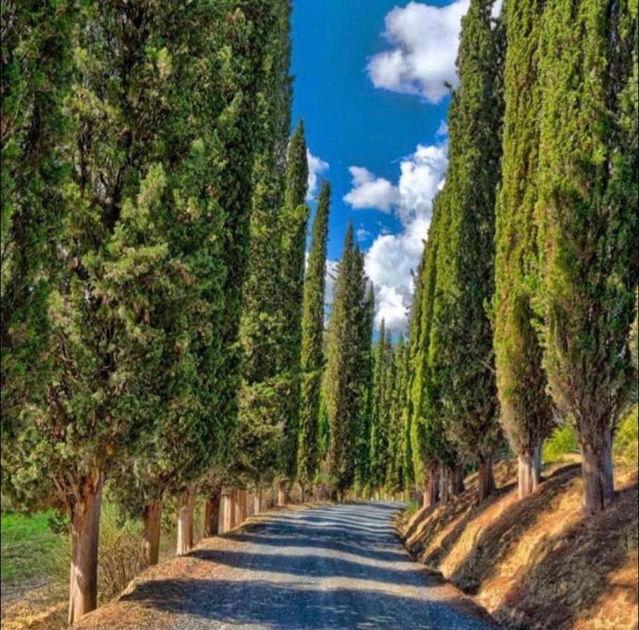 Agriturismo Fattoria Il Piano - Casa Tosca - San Gimignano Exteriör bild